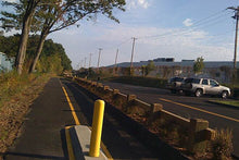 Load image into Gallery viewer, Redstone rail trail in East Longmeadow