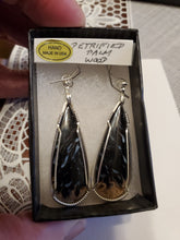 Load image into Gallery viewer, Custom Wire Wrapped Petrified Palm Wood Earrings Sterling Silver