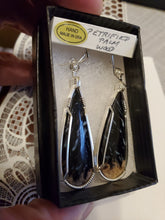 Load image into Gallery viewer, Custom Wire Wrapped Petrified Palm Wood Earrings Sterling Silver