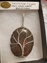 Load image into Gallery viewer, Custom Wire Wrapped Rock Collected From Nancy Hanks Birthplace Tree of Life Necklace/Pendant Sterling Silver