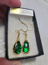 Load image into Gallery viewer, Custom Wire Wrapped Green Paua Shell Earrings 14kgf