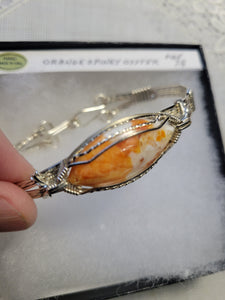 Custom Cut Polished & Wire Wrapped Orange Spiney Oyster Bracelet Size 7 1/4 Sterling Silver